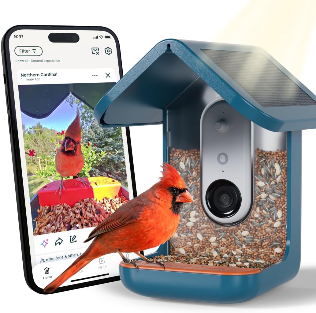 Birdbuddy PRO Solar smart bird feeder in blue with sloped solar roof and close-focus camera facing the perch