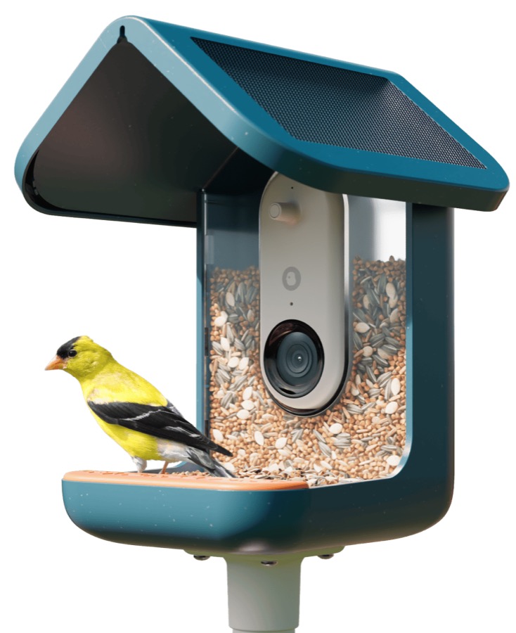 Bird Buddy Pro Solar blue smart bird feeder with a solar roof and built-in camera, a yellow goldfinch perched on the seed tray